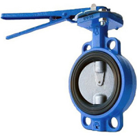 Затворы дисковые поворотные