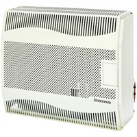 Конвекторы газовые HOSSEVEN