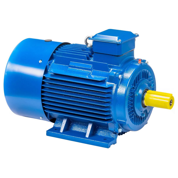 Электродвигатель 5АИ 225 М4 55/1500 IM1001, 380/660, IP55