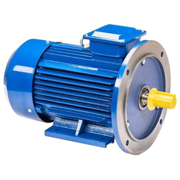 Электродвигатель 5АИ 100 L2Ж 5,5/3000 IM2081, 220/380, IP55