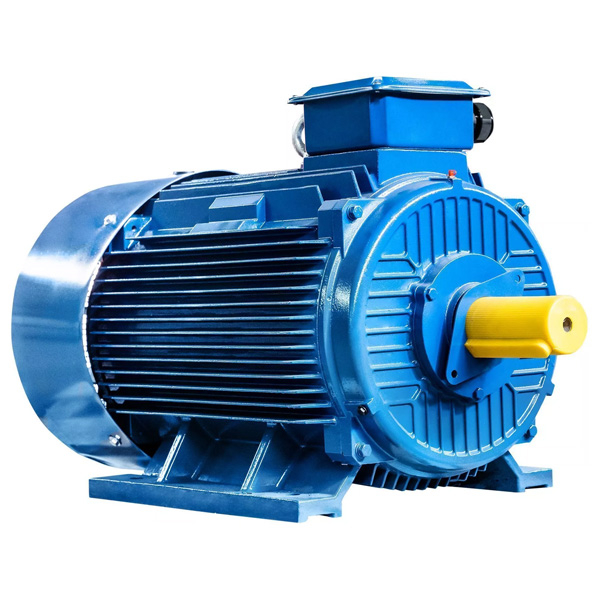 Электродвигатель 5АИ 355 М4 315/1500 IM1001, 380/660, IP55