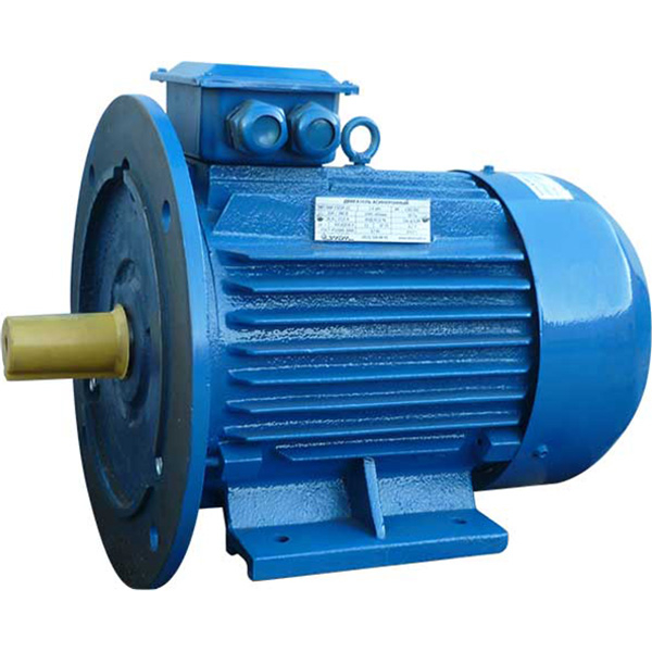 Электродвигатель 5АИ 90LA8  0,75/750 IM2081, 220/380, IP55
