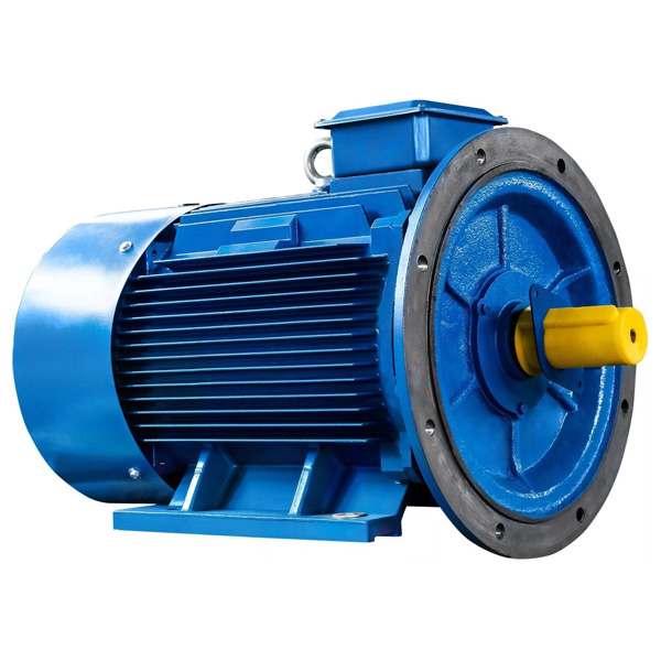Электродвигатель 5АИ 315 S2 160/3000 IM2001, 380/660, IP55